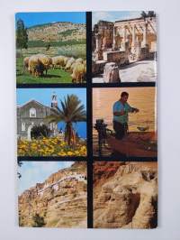 Pyhä maa : sata kuvausta Pyhästä Maasta (pelkkä kirja)