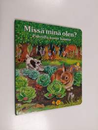 Missä minä olen? : piilosilla kanin kanssa