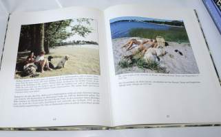 Ekenäs : album = Tammisaari