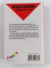 Sommaren jag minns