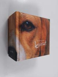 Koirat