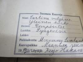 Kasvisto - 1930-luvun koululaisen keräämä kasvio, paljon hyvin säilyneitä kasveja saaristo / Saaristomeri, hyvät paikkatunnistetiedot ja ajankohdat