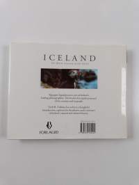 Iceland : the warm country of the north