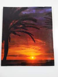 All the canary islands