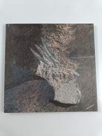 Laila Pullinen : arcus lucis = valon kaari = ljusbåge = arc of light