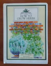 How to Grow Herbs