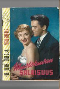 Sydänsarja 1960  nr  10 / Muotokuvan salaisuus