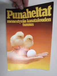 Punaheltta - kananrehut -myyntiesite