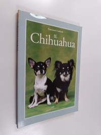 Il chihuahua