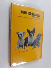 Your Chihuahua