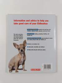 Chihuahuas - Everything about Purchase, Care, Nutrition, Behavior, and Training