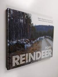 Reindeer