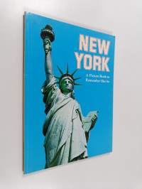 New York - A Picture Book to Remember Her By
