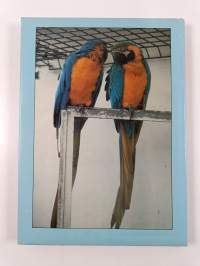 Birds - A Guide to a Mixed Collection