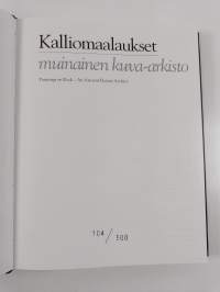 Kalliomaalaukset : muinainen kuva-arkisto = Paintings on rock : an ancient picture archive (numeroitu)