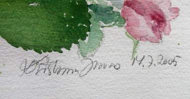 Tuntematon taiteilija, &quot;Valamon ruusu&quot; sign 2005  akvarelli 54x36 cm cm