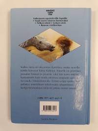 Keskiyönratsastaja