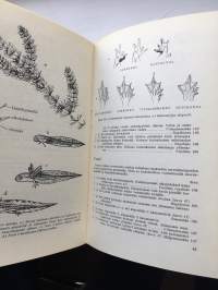 Retkeilijän kalaopas - Kalat, sammakkoeläimet ja matelijat