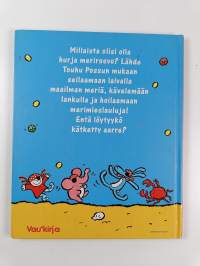 Touhu Possu merirosvona
