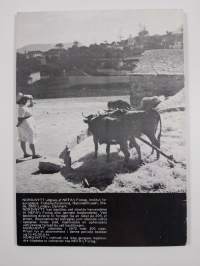 Nord nytt 2/1972