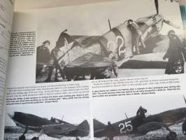 LaGG Fighters in action - Aircraft No. 163