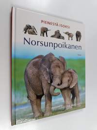 Norsunpoikanen