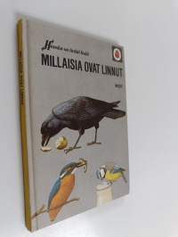 Millaisia ovat linnut