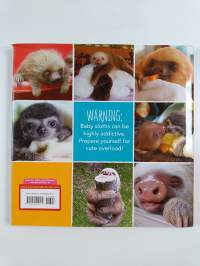 A Little Book of Sloth