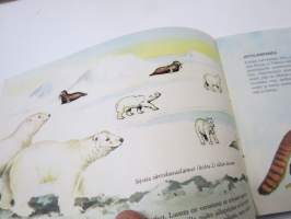 Eläintarha - Tammen siirtokuvakirja 1968 (Rub down instant pictures by Letraset)