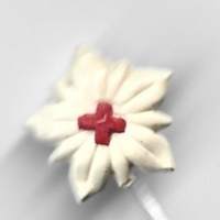 Punaisen Ristin - neulamerkki  rintamerkki muovia