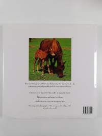 Big Book of Horses