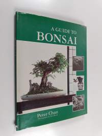A Guide to Bonsai