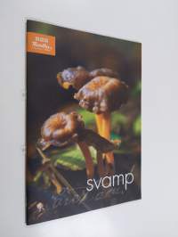 Svamp