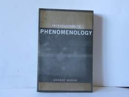 Introduction to Phenomenology