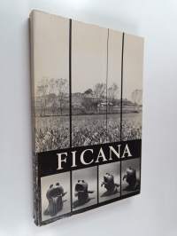 Ficana : en milesten på veien til Roma : en vandreutstilling om de felles italiensk-nordiske utgravninger (1975-1980) utenfor Roma