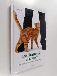 Mitä kissani ajattelee?