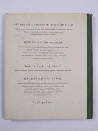 Kalastajakylän lapsia : (Italian kaunis maa)