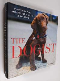 The Dogist: Photographic Encounters with 1,000 Dogs