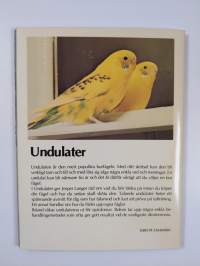 Undulater