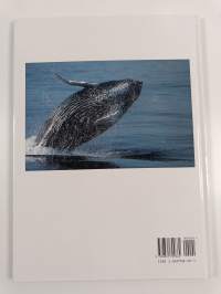 Whales &amp; Dolphins - A Portrait of the Animal World