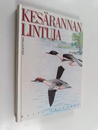 Kesärannan lintuja