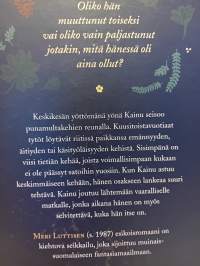 Myrskynsilmä