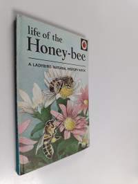 Life of the Honey-bee