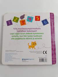 Nyt lasketaan! : luukkukirja