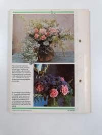 Kukkiva kotini 8/1986