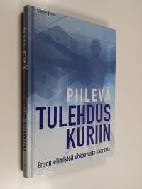 Piilevä tulehdus kuriin : eroon elimistöä uhkaavasta vaarasta