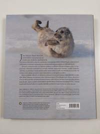 Jää hyvin, saimaannorppa