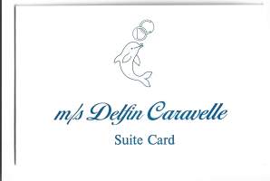 m/s Delfin Caravelle - Suite Card  blanko
