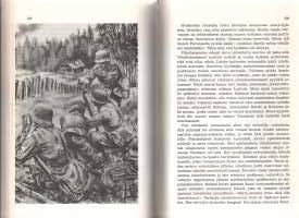 Taistelujen miehet  -Mannerheim-ristin ritarien taisteluista ja vaiheista.