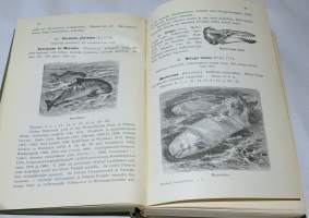 Suomen luurankoiset = Vertebrata Fennica